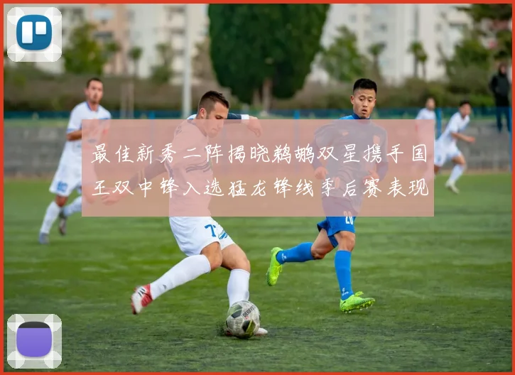 最佳新秀二阵揭晓鹈鹕双星携手国王双中锋入选猛龙锋线季后赛表现抢眼
